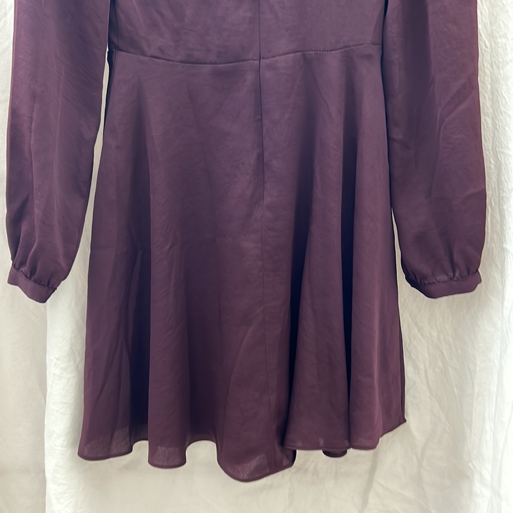Express Dress - Picture 6 of 7